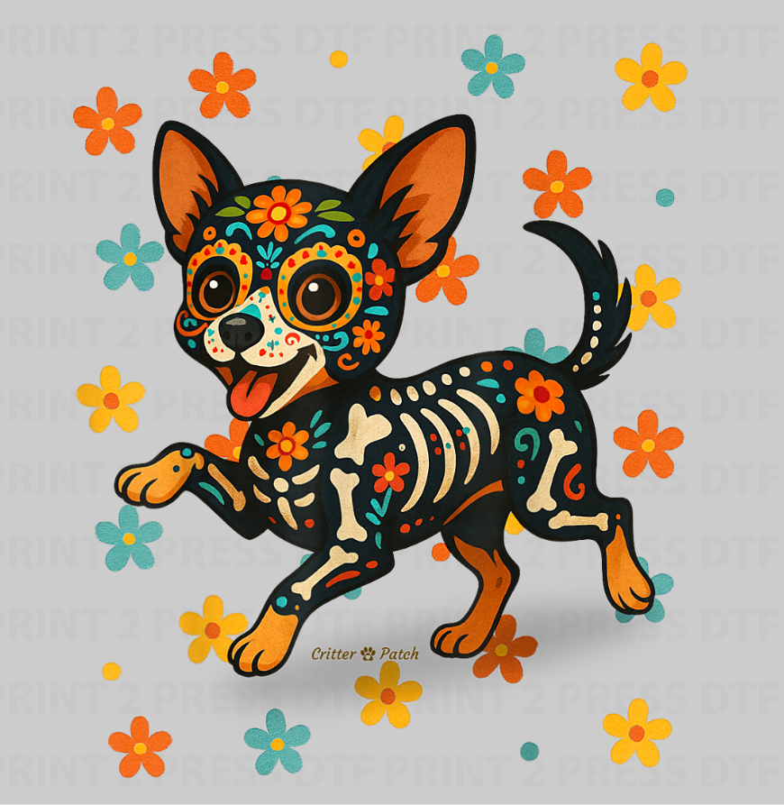DOTD Chihuahua