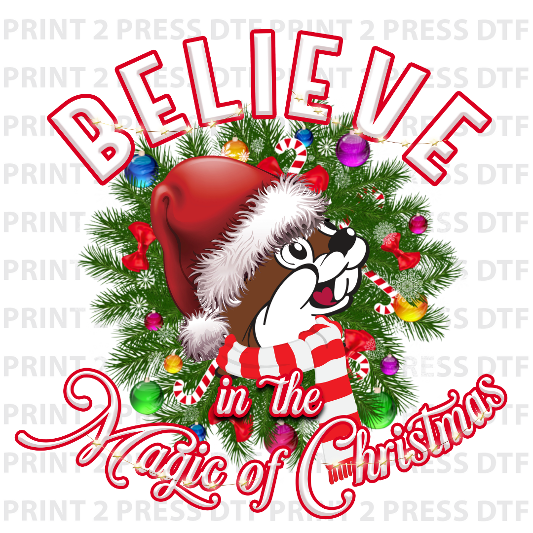Beaver Believe in the Magic (White)
