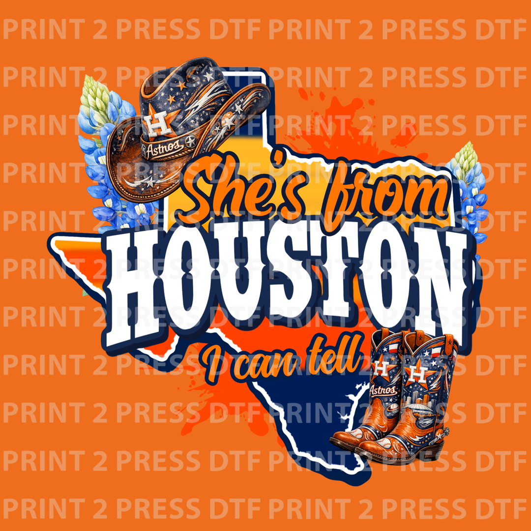 Astros She's From Houston I can tell