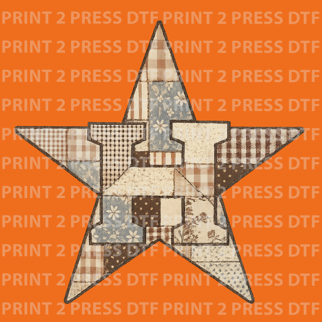 Astros Star Brown Quilt