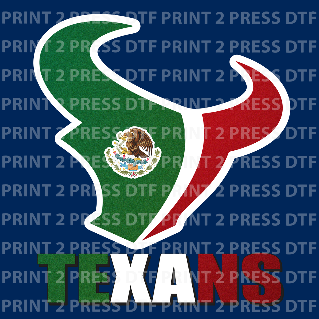Mexico Texans Bull