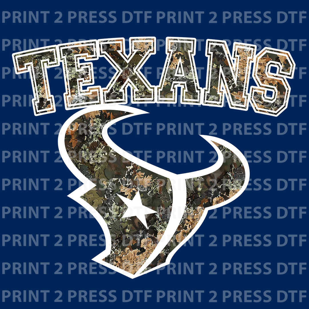 Texans Bull Cameo
