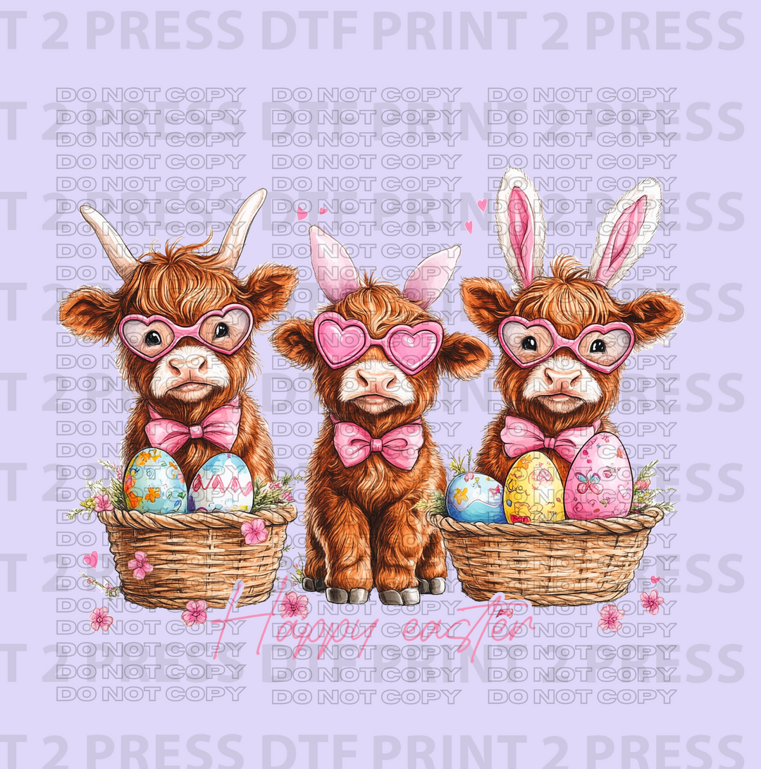 Highland Cows Trio