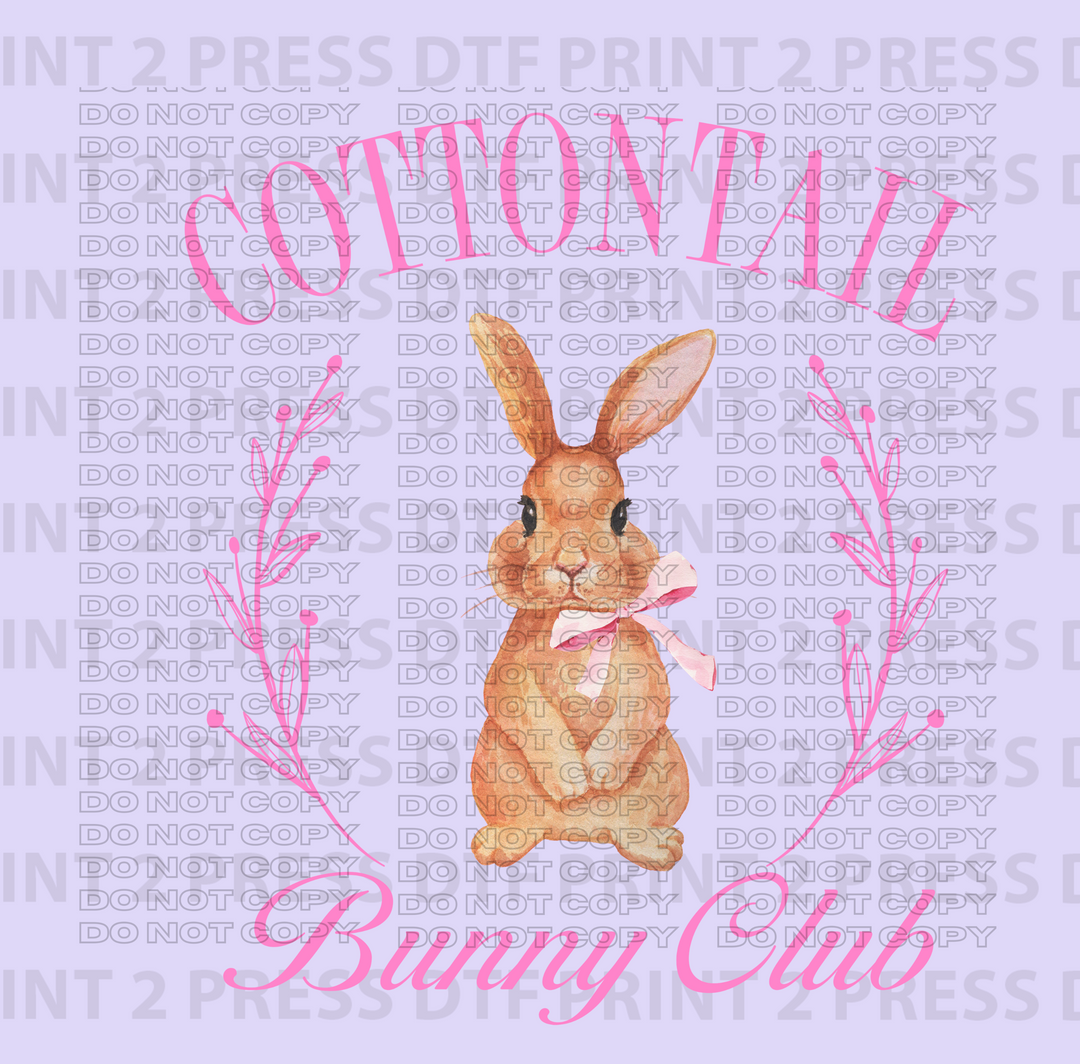 Cotton Tail Bunny