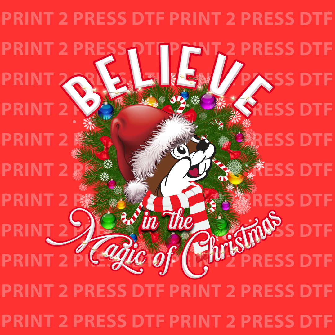 Beaver Believe in the Magic (White)