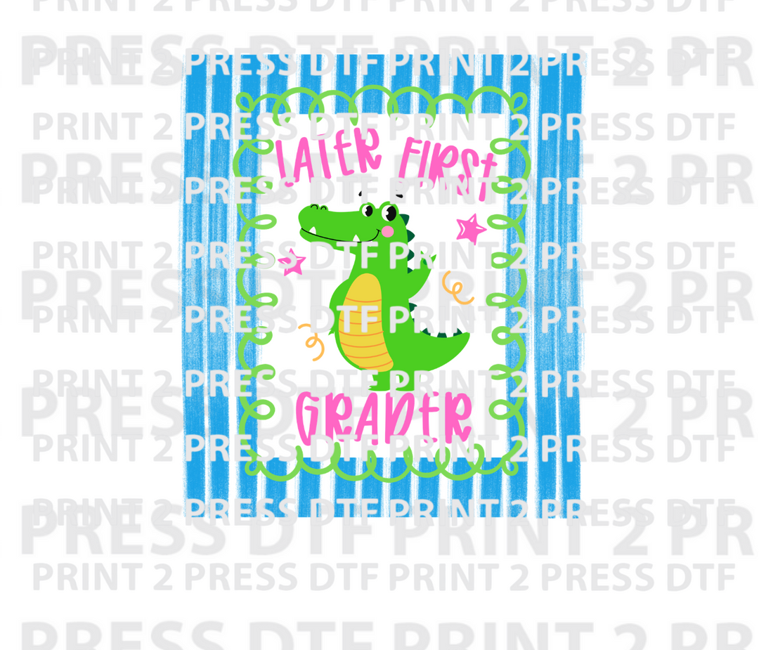 Later First Grader Gator