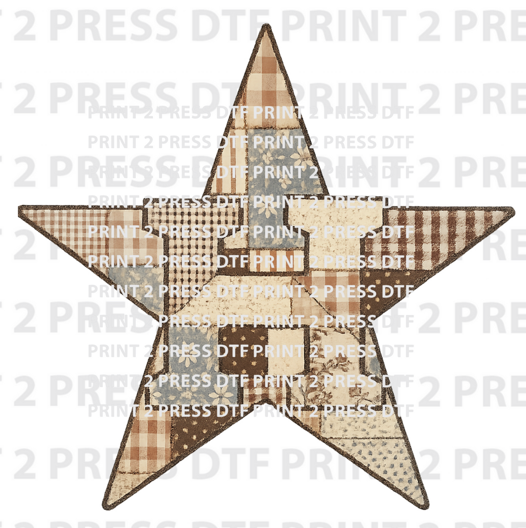 Astros Star Brown Quilt