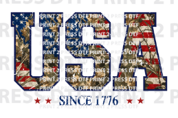 USA Since 1776 Distress