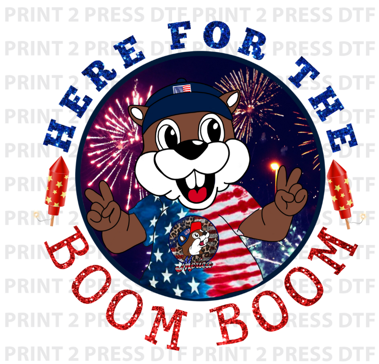 Here For The Boom Boom