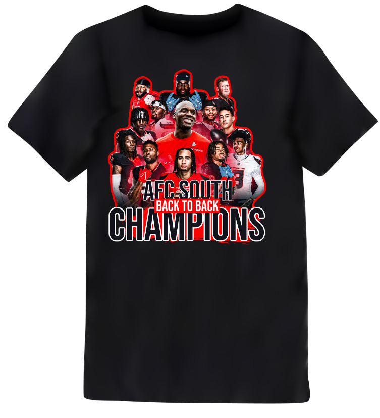 AFC South Champions Team